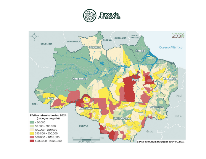 Mapa: Número de cabeças de gado nos municípios da Amazônia Legal, 2024.