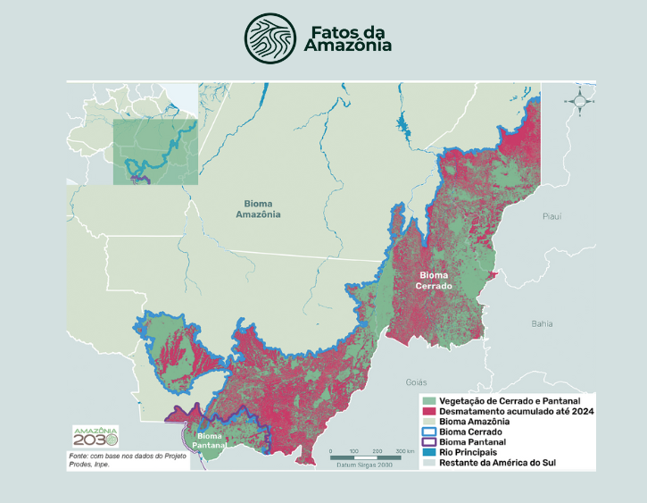 Mapa: Vegetação e desmatamento acumulado nos biomas Cerrado e Pantanal na  Amazônia Legal, 2024. 
