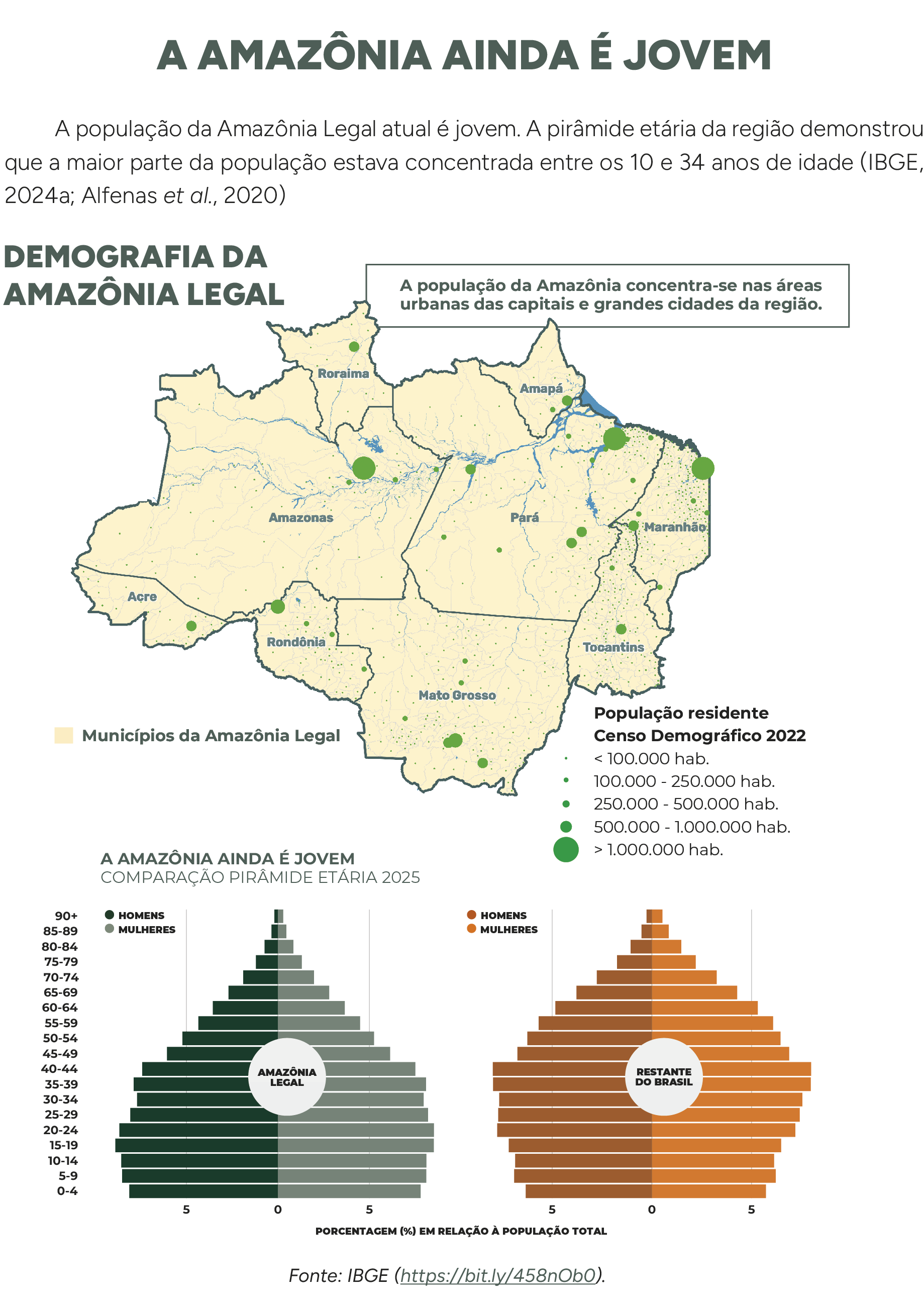 Imagem do Analysis