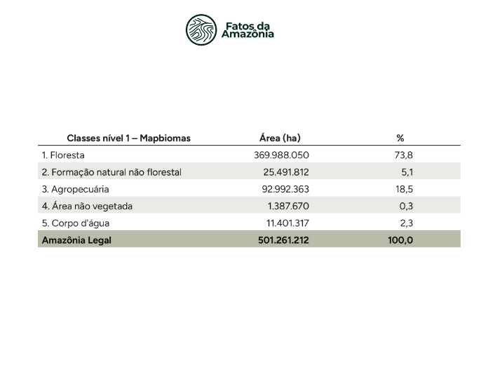 Tabela: Área (ha) da cobertura do solo classe nível 1 na Amazônia Legal de acordo com Mapbiomas Coleção 10, 2024.