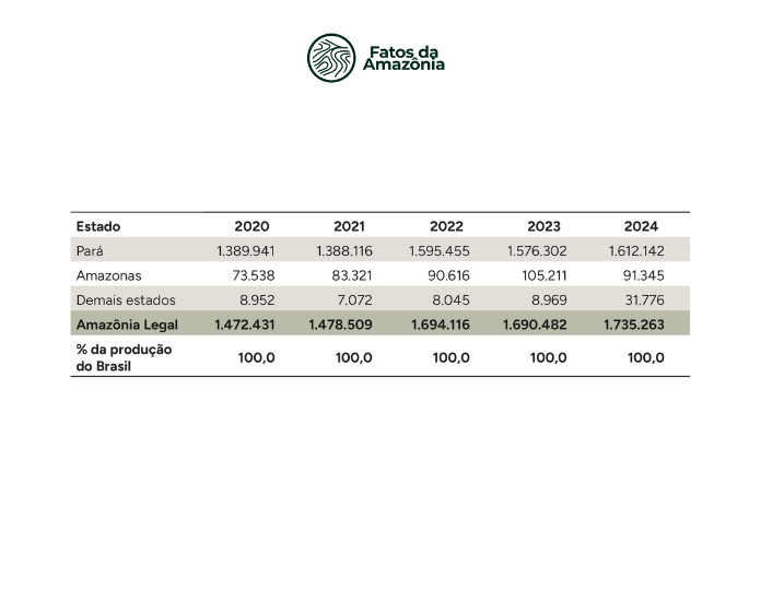  Tabela: Produção de açaí plantado (em t) na Amazônia Legal, 2020-2024.