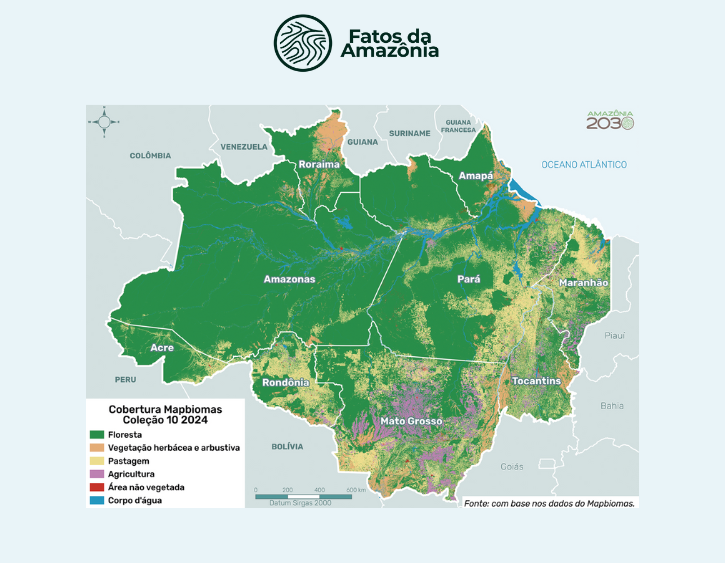 Análise Interativa: Área de Floresta (%)