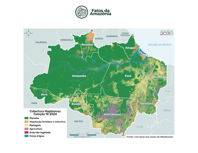 Mapa: Cobertura e uso do solo classe nível 1 na Amazônia Legal, 2024.