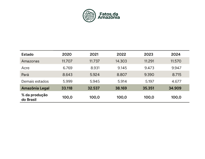 Tabela: Produção de castanha-do-brasil (em t) na Amazônia Legal, 2020-2024.