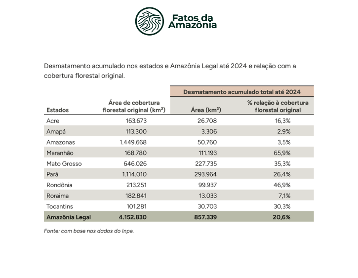 Análise Interativa: Desmatamento Acumulado 